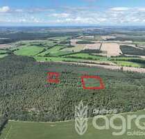 Grundstück in Groß Kreutz 28.900,00 € 33155 m²