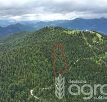 Grundstück in Ramsau 46.900,00 € 17680 m²