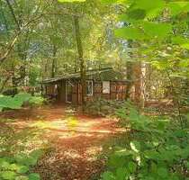 Grundstück zu verkaufen in Dierstorf Heide (Wenzendorf) 328.000,00 € 2800 m²