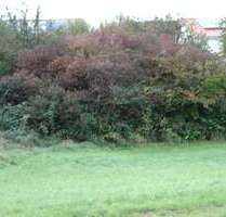 Grundstück zu verkaufen in Königsbach-Stein 164.000,00 € 315 m²