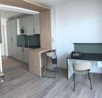 Wohnung zum Mieten in Hessen - Reinheim 490,00 € 24 m²