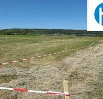 Grundstück zu verkaufen in Weilersbach 295.000,00 € 2500 m²