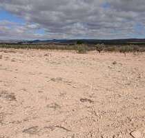 Grundstück zu verkaufen in Yecla 216.460,00 € 110312 m²