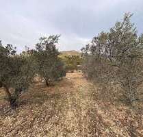 Grundstück zu verkaufen in Onil 90.000,00 € 8700 m²