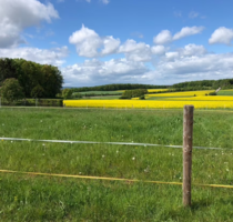 Grundstück zu verkaufen in Mechernich 270.000,00 € 904 m²