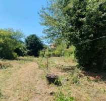 Grundstück zu verkaufen in Bobenheim-Roxheim 180.000,00 € 396 m²