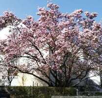 Haus zum Kaufen in Stutensee 395.000,00 € 163 m²