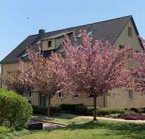 Wohnung zum Mieten in Lehrte 412,00 € 36 m²