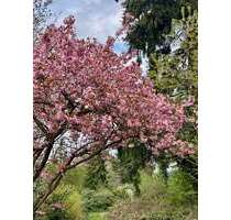 Grundstück zu verkaufen in Roetgen Mulartshütte 110.000,00 € 750 m² - Roetgen / Mulartshütte