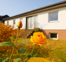 Haus zum Kaufen in Groß-Gerau 499.900,00 € 130.54 m²