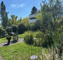 Wohnung zum Mieten in Frechen Königsdorf 625,00 € 39 m² - Frechen / Königsdorf
