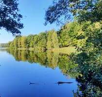 Wohnung zum Kaufen in Berlin 276.000,00 € 53 m²