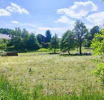 Grundstück zu verkaufen in Balzheim 219.000,00 € 730 m²