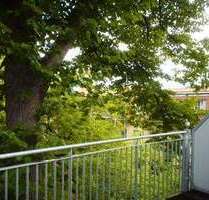 Wohnung zum Kaufen in Potsdam 263.000,00 € 62 m²