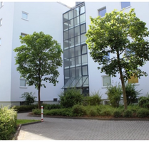 Wohnung zum Mieten in Celle 575,00 € 50 m²