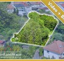 Grundstück zu verkaufen in Lemberg 95.639,00 € 800 m²