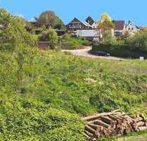 Grundstück zu verkaufen in Hessisch Oldendorf 160.000,00 € 1275 m²