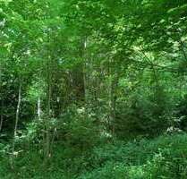 Grundstück in Waldkirchen 53.000,00 € 21193 m²
