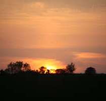 Grundstück zu verkaufen in Dachau 299.500,00 € 310 m²