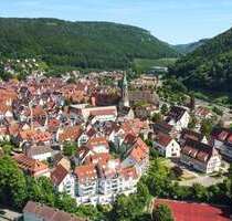 Wohnung zum Kaufen in Bad Urach 249.000,00 € 85 m²