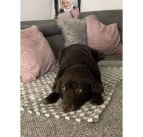 Wohnung zum Mieten in Mannheim 1.100,00 € 90 m²