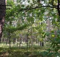 Grundstück zu verkaufen in Kamenz Zschornau 74.500,00 € 48370 m² - Kamenz / Zschornau