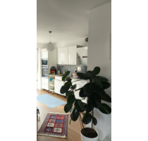 Wohnung zum Mieten in Münster 1.155,00 € 72.07 m²