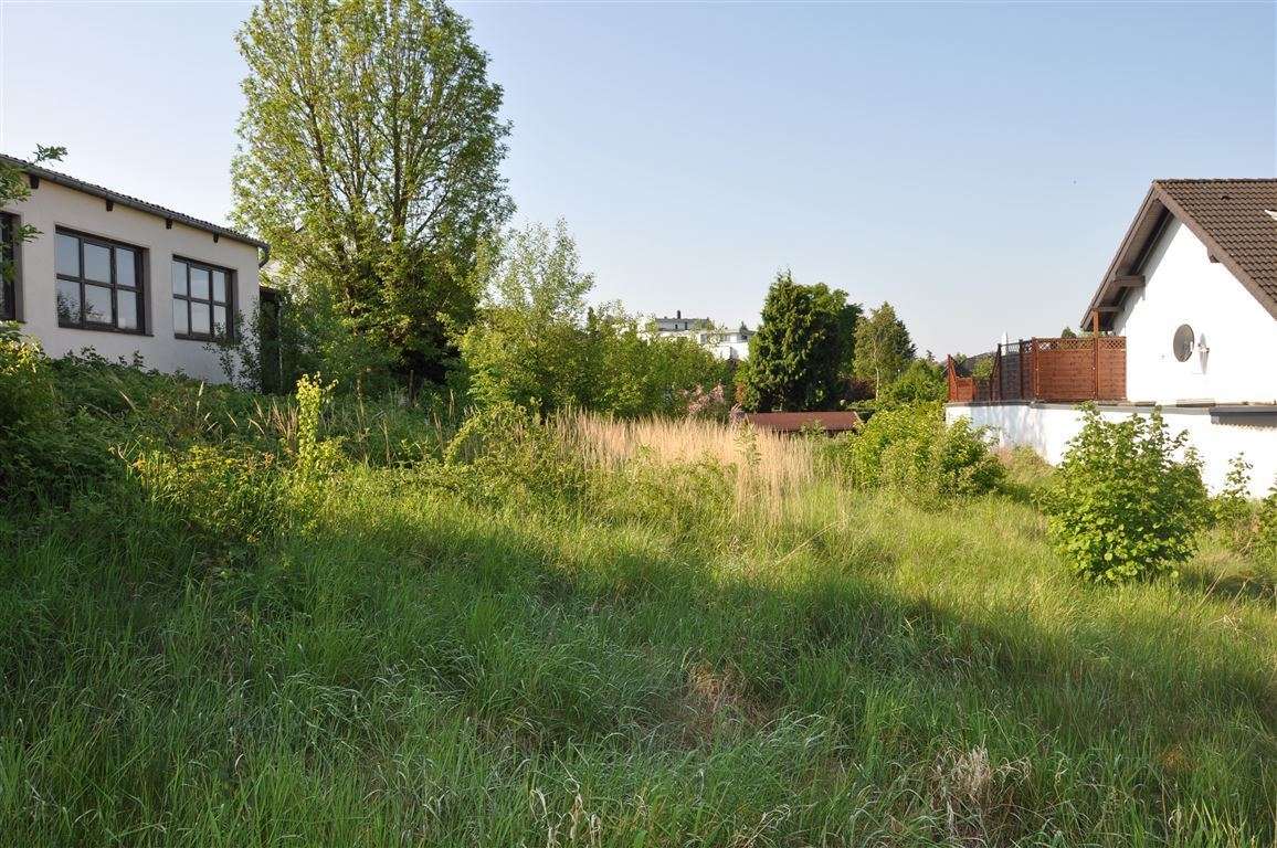 Grundstück zu verkaufen in Weilerswist 295.000,00 € 918 m²