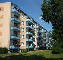 Wohnung zum Mieten in Cottbus 350,00 € 49.64 m²