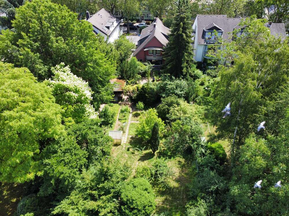 Grundstück zu verkaufen in Bonn 875.000,00 € 1103 m²