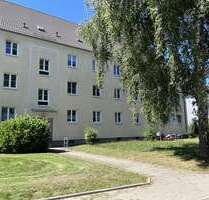 Wohnung zum Mieten in Chemnitz - Altchemnitz 264,00 € 47 m²