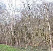 Grundstück zu verkaufen in Bad Zwischenahn 111.000,00 € 3004 m²