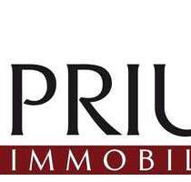 Haus zum Kaufen in Offenbach 3.970.000,00 € 1200 m²