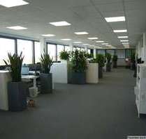 Büro in Karlsruhe 2.645,20 € 389 m²