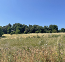 Grundstück zu verkaufen in Bassenheim 227.850,00 € 651 m²