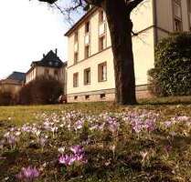 Wohnung zum Mieten in Chemnitz 253,00 € 38.4 m²