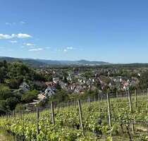 Wohnung zum Kaufen in Denzlingen 316.500,00 € 48.76 m²