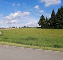 Grundstück in Schrobenhausen Sommerau 95.000,00 € 4486 m² - Schrobenhausen / Sommerau