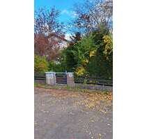 Haus zum Kaufen in Heidenheim 469.000,00 € 275 m²