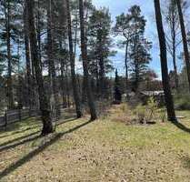 Grundstück zu verkaufen in Borkheide 240.000,00 € 1413 m²