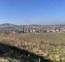 Grundstück zu verkaufen in Jechtingen 11.700,00 € 2881 m²