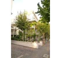 Wohnung zum Mieten in Wiesbaden 1.600,00 € 113.25 m²