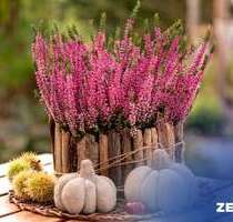 Haus zum Kaufen in Löbau 363.212,00 € 132 m²