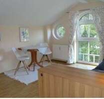 Wohnen auf Zeit in Dresden 795,00 €