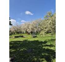 Haus zum Kaufen in Meyenburg 350.000,00 € 520 m²