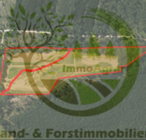 Grundstück in Kemberg 300,00 € 22028 m²