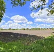 Grundstück in Bad Zwischenahn 412.736,00 € 51592 m²