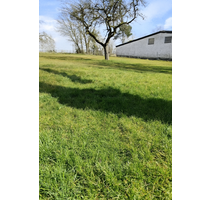 Grundstück zu verkaufen in Neustadt (Wied) 135.000,00 € 1200 m²
