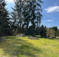 Grundstück zu verkaufen in Bestensee 346.000,00 € 990 m²