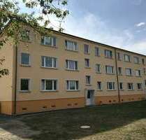 Wohnung zum Mieten in Grimma 350,00 € 61 m²